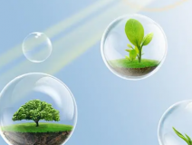 這些甲醛的危害你知道嗎？