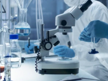 想要清除室內甲醛需要了解什么？